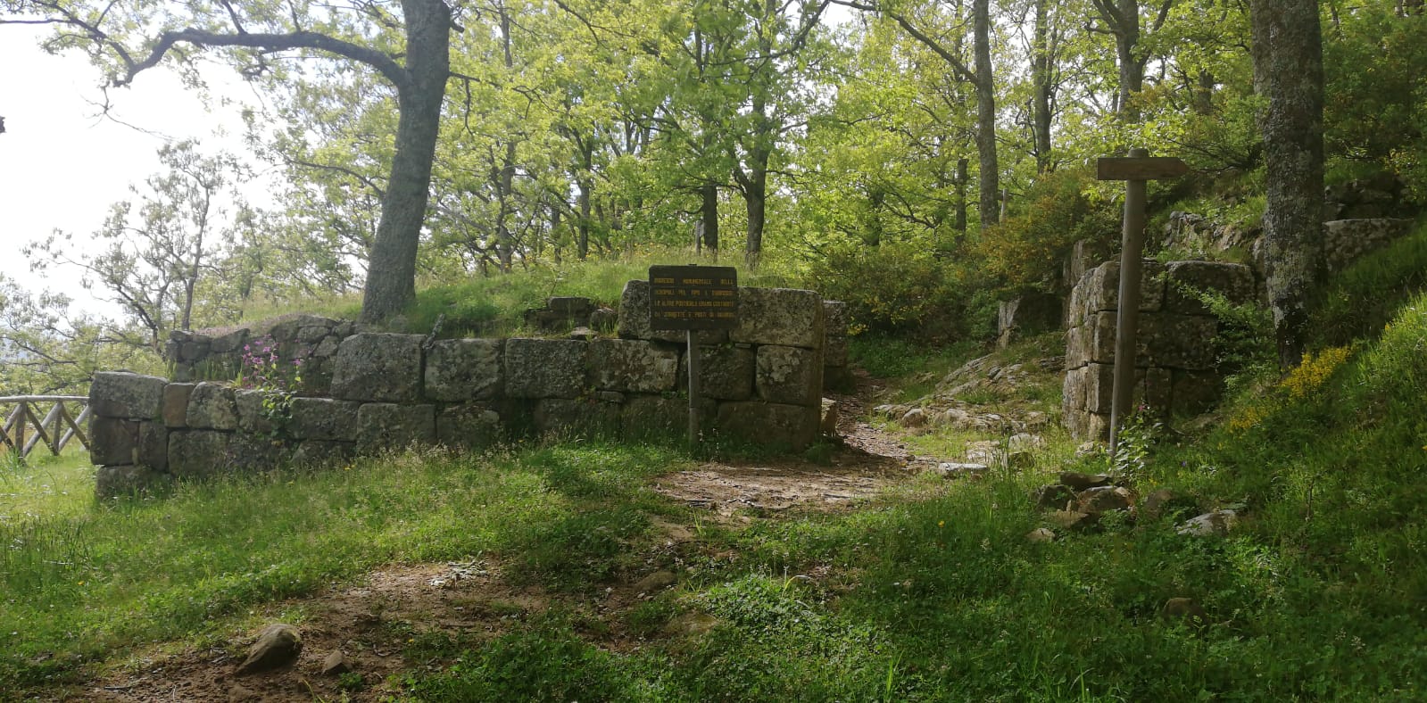 Oscans of the early republic