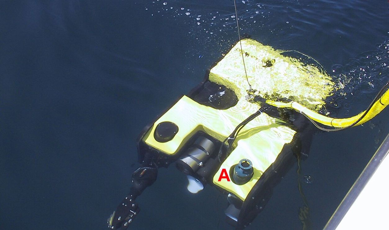 Acoustic Instrument Release