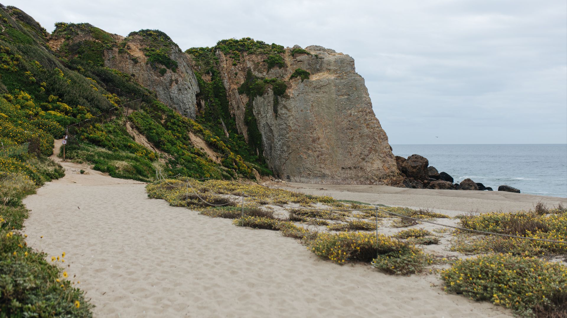 File:Point Dume State Beach Malibu CA by Cecily Breeding.jpg