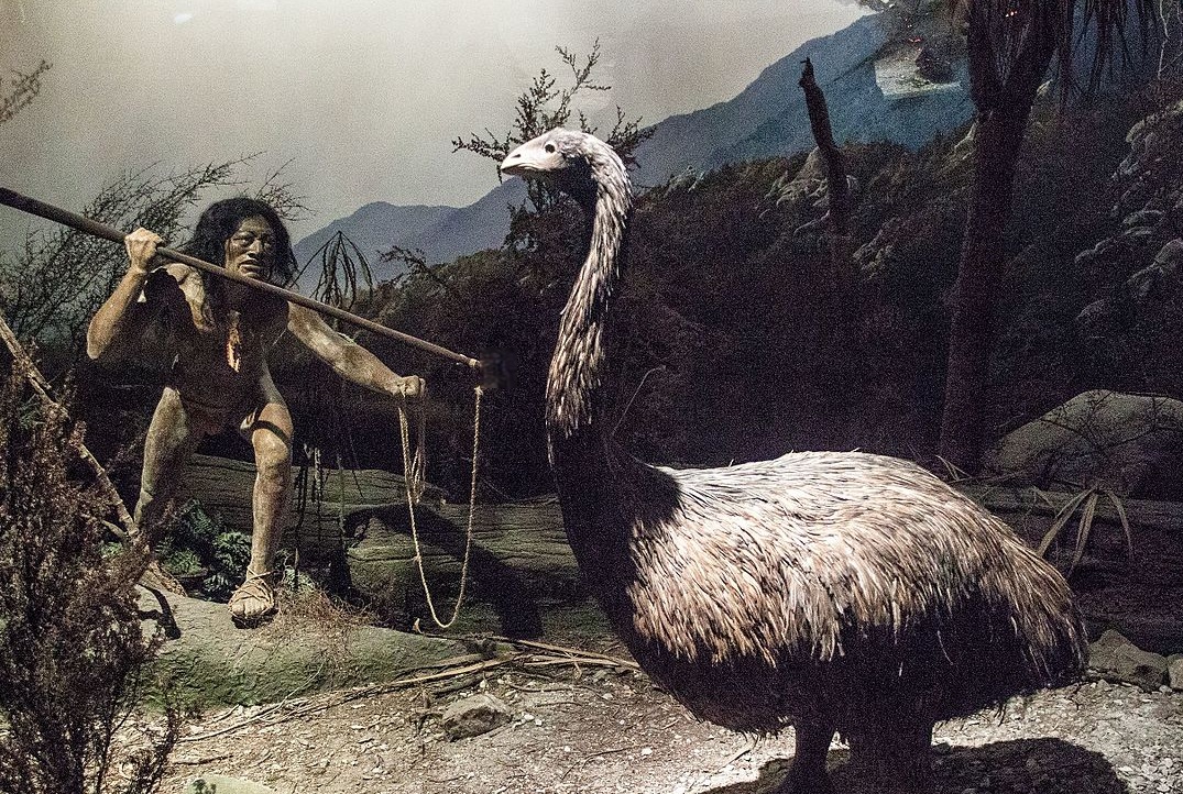 Diorama Of Maori Life, Canterbury Museum, 2016