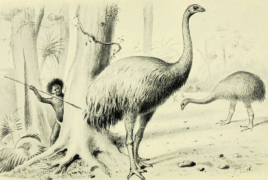 Extinct Monsters And Creatures Of Other Days