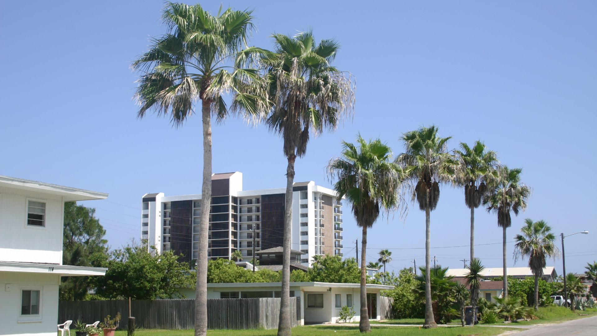 File:Street Scene South Padre Island Texas.JPG