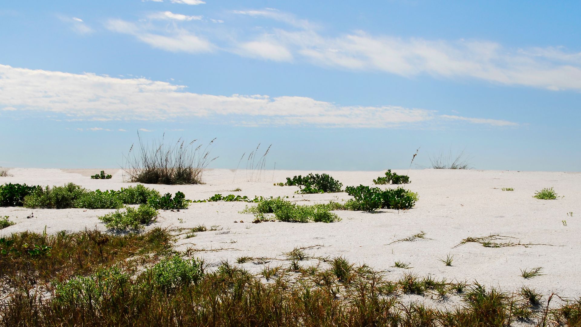 File:CayoCostaSP Landscape01.jpg