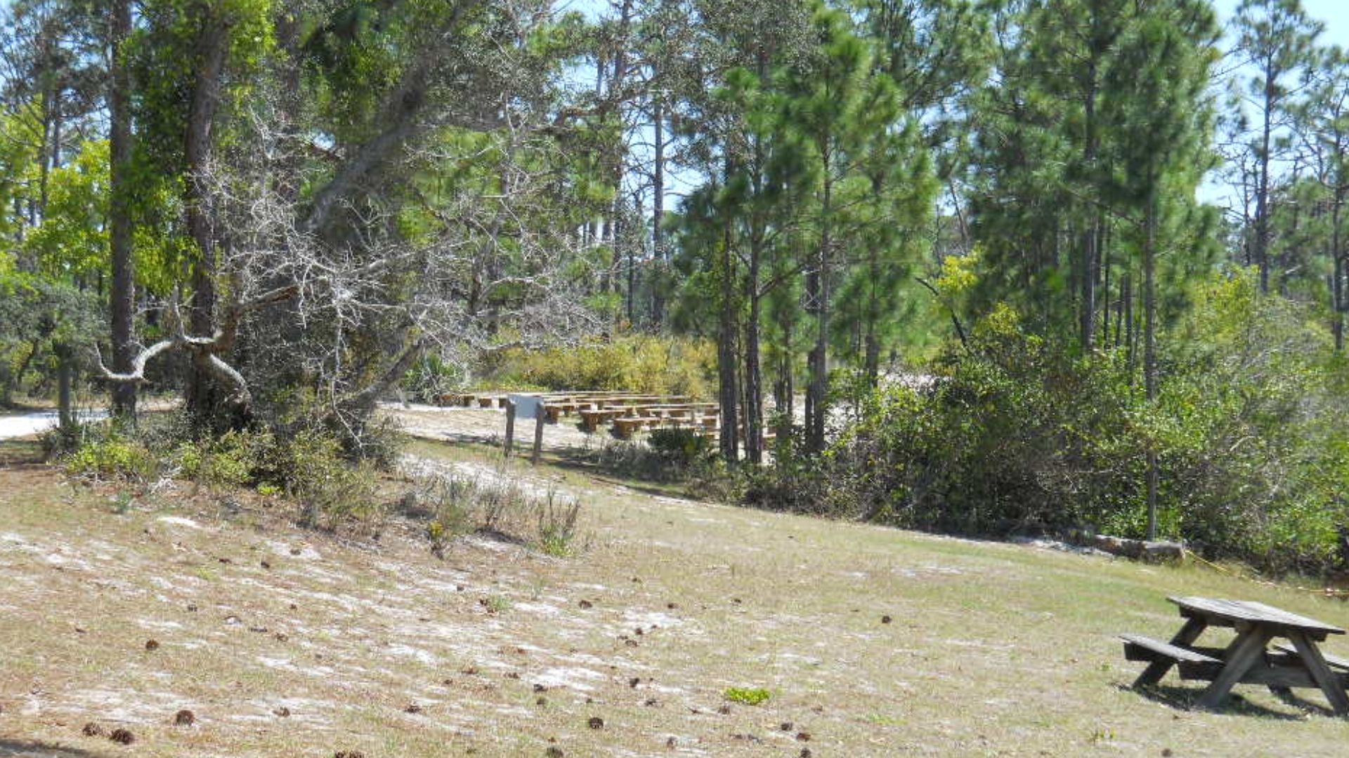 File:Jonathan Dickinson State Park 012.JPG