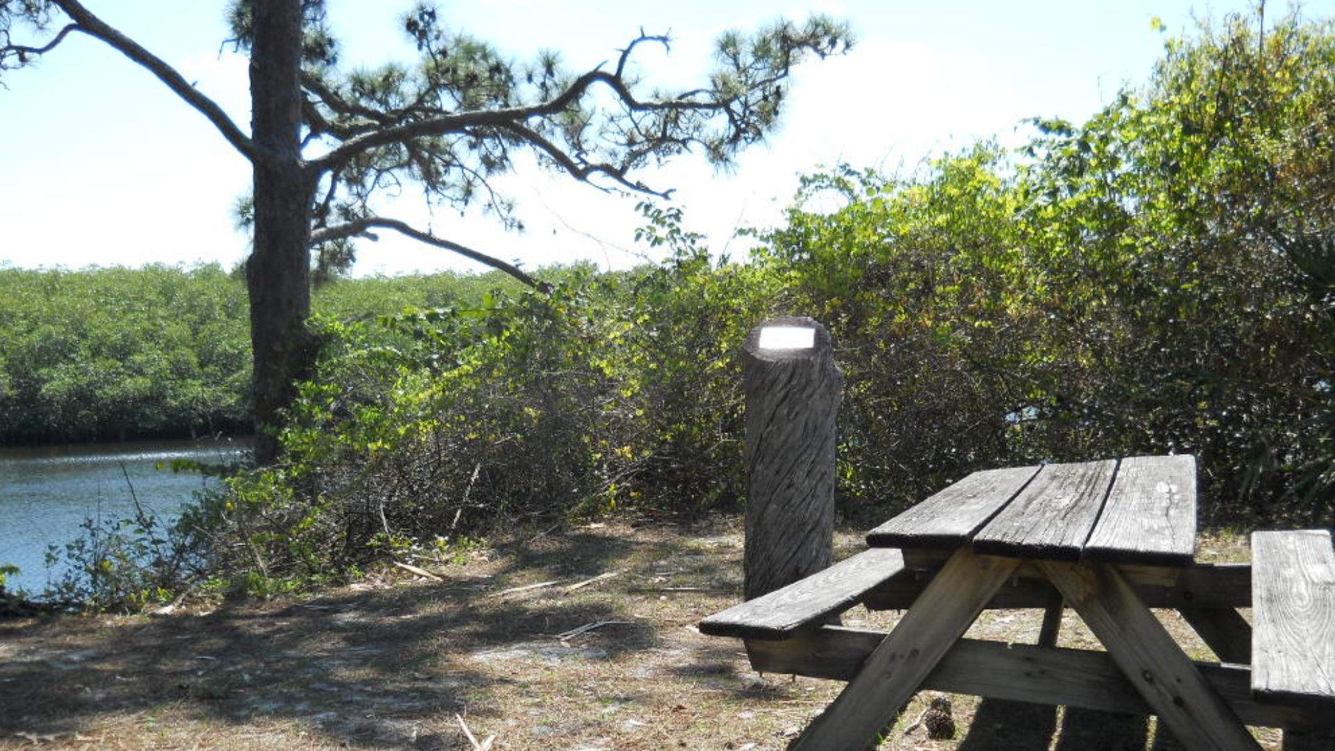 File:Jonathan Dickinson State Park 039.JPG