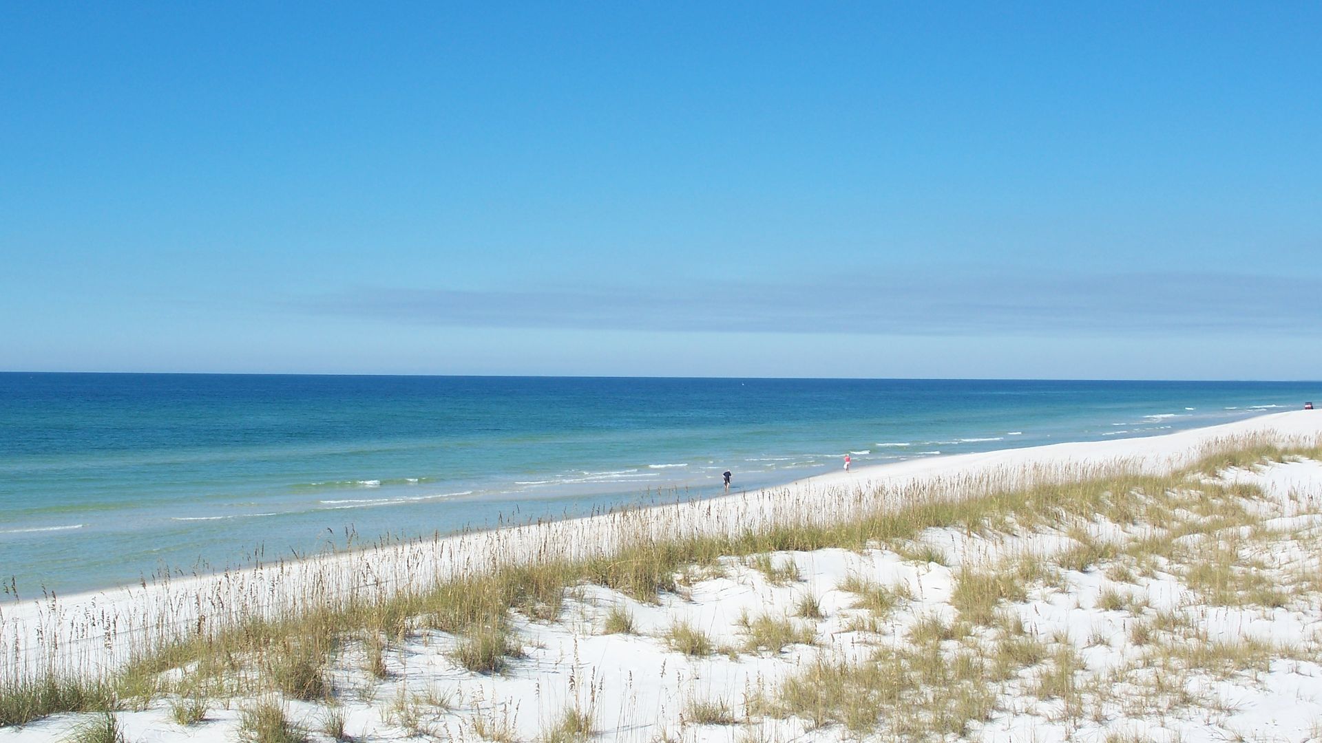 File:St Joseph Peninsula FL SP beach north01.jpg