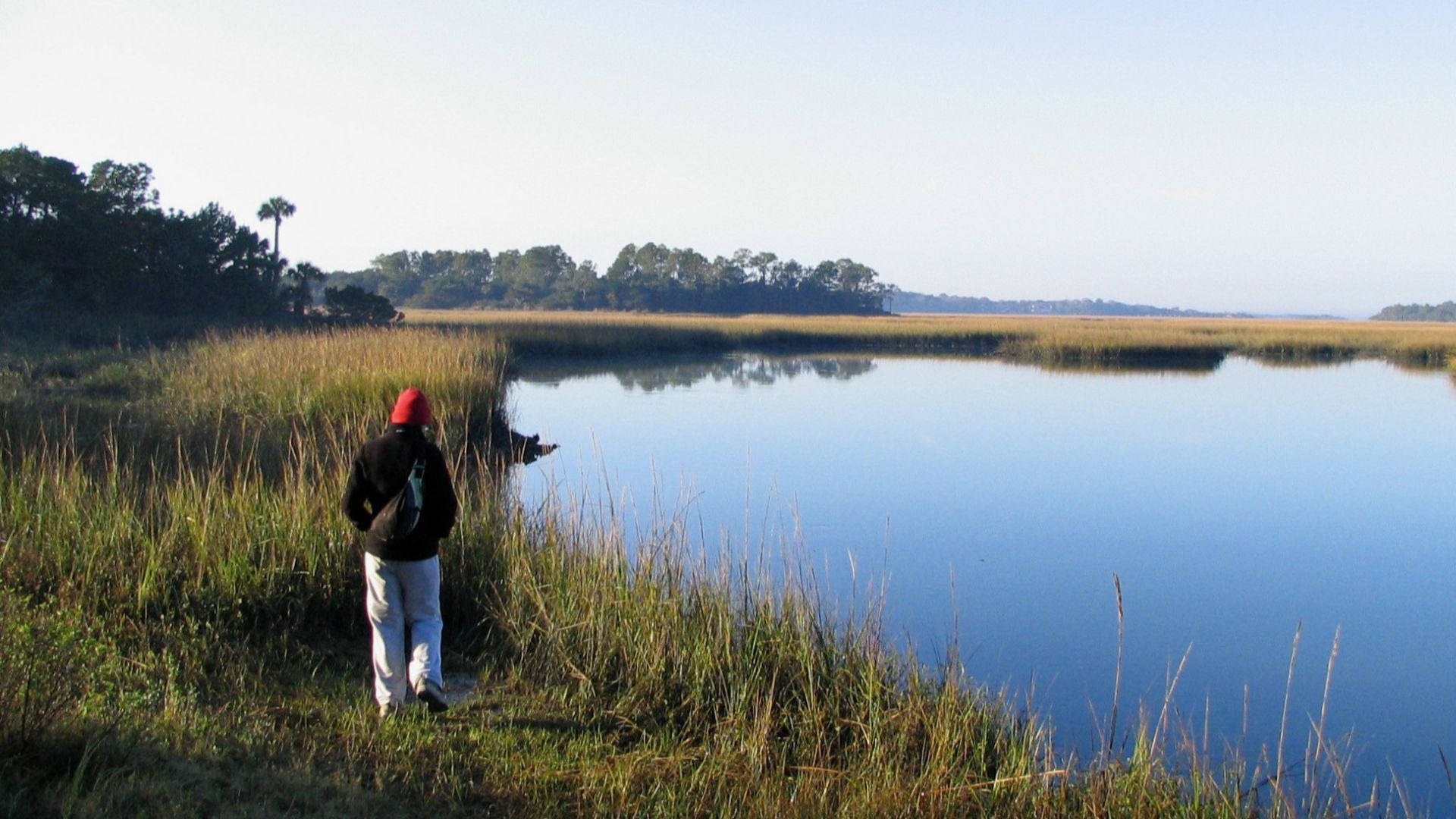 File:Little Talbot Island - Myrtle Creek.jpg