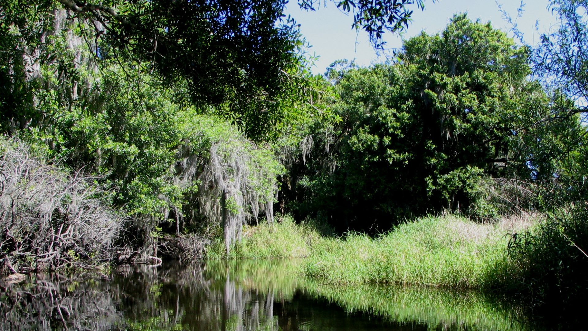 File:Myakka River - Kayaking.jpg
