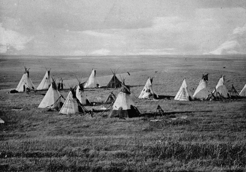 Cree Camp