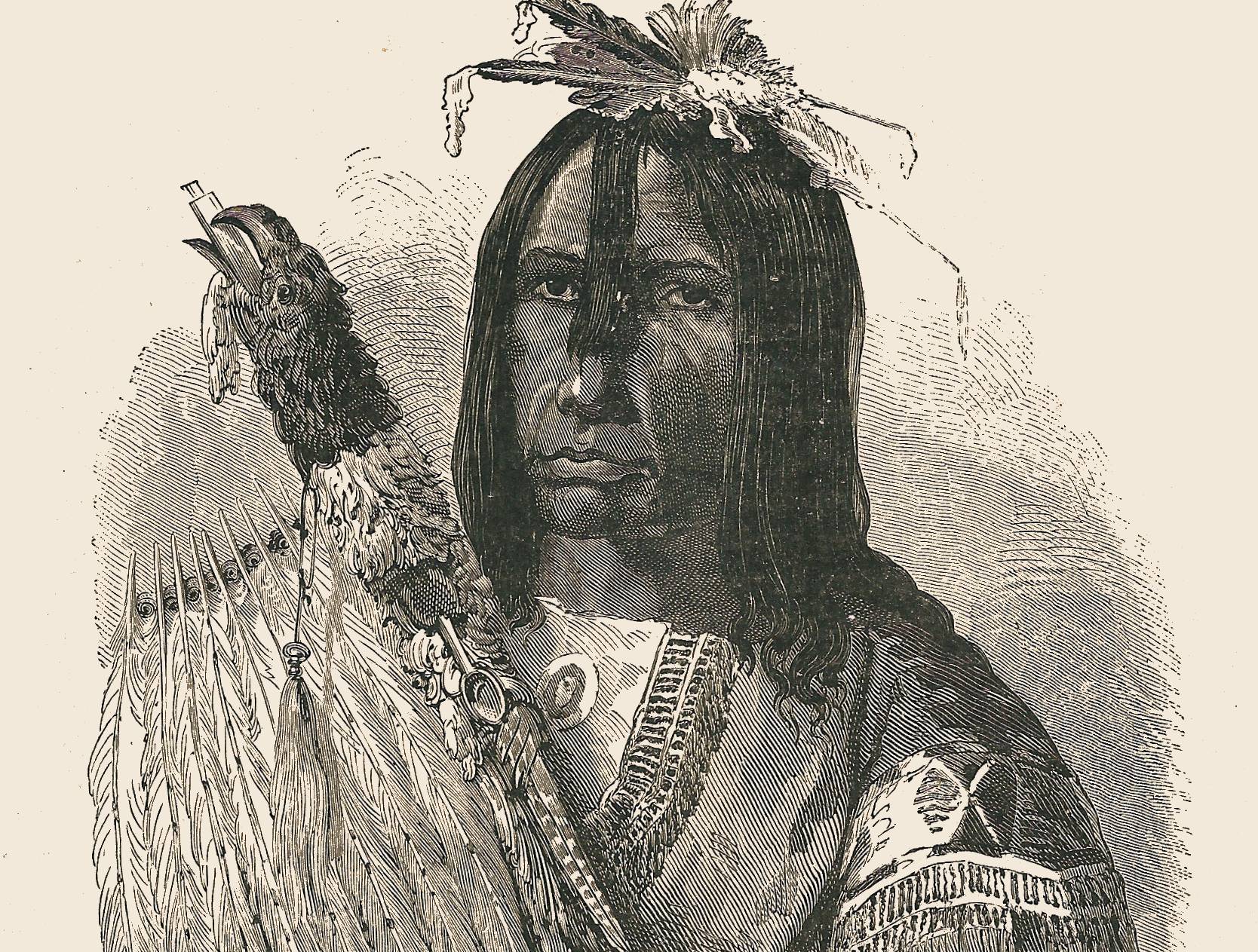 Cree Chief