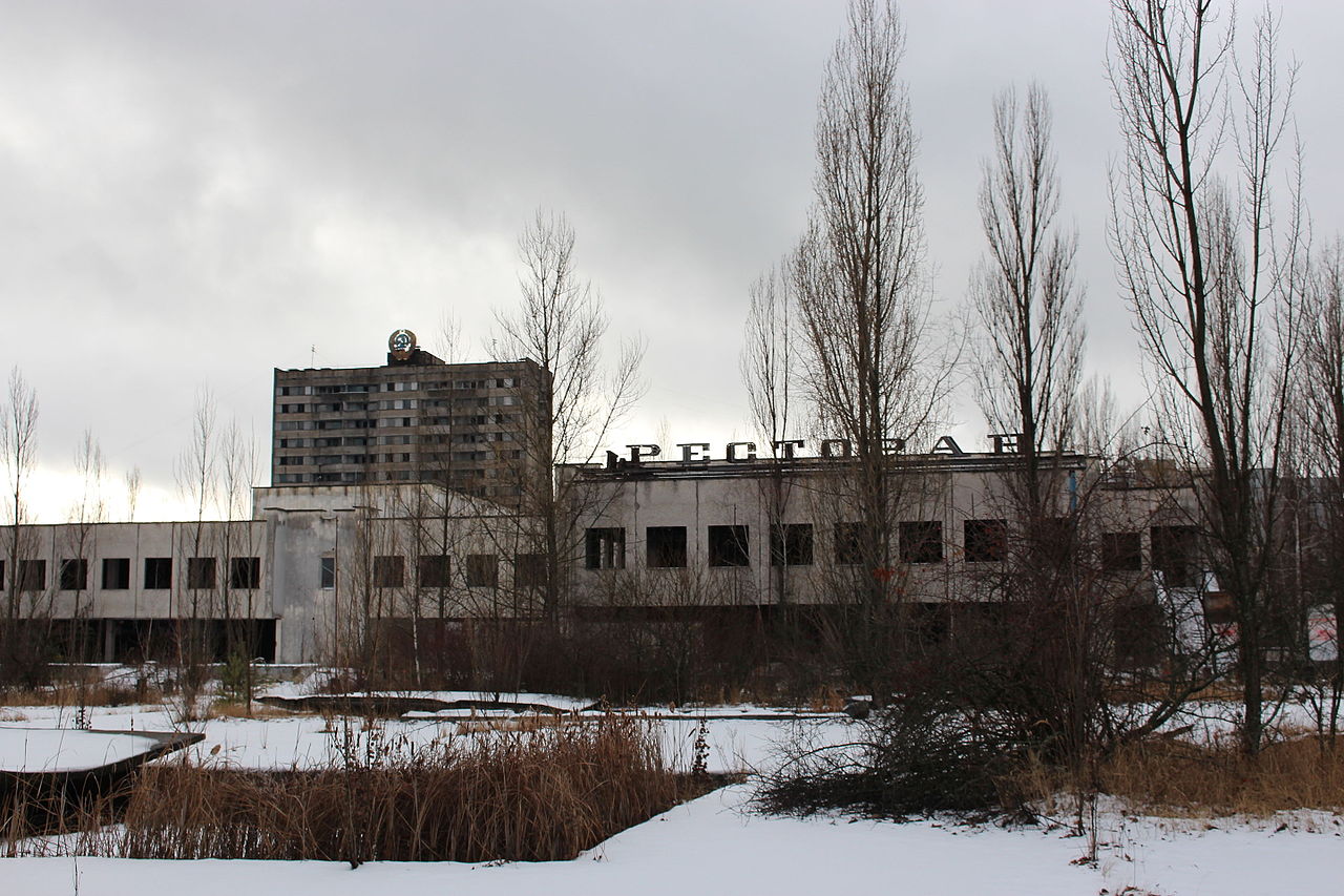 Chernobyl Exclusion Zone (2015) 60