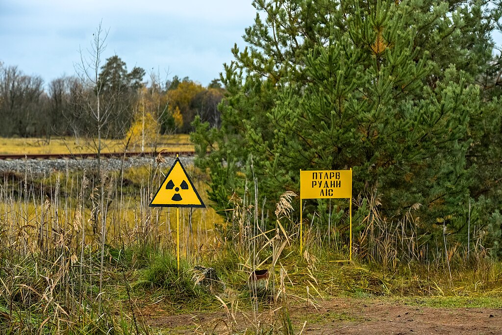 Red Forest in Chernobyl (Ukraine)
