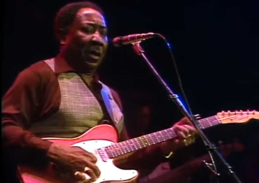 Muddy Waters on stage