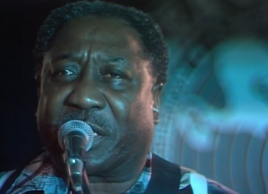 Muddy Waters on stage