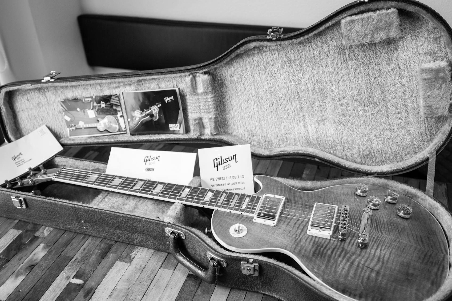 Blues electric guitar