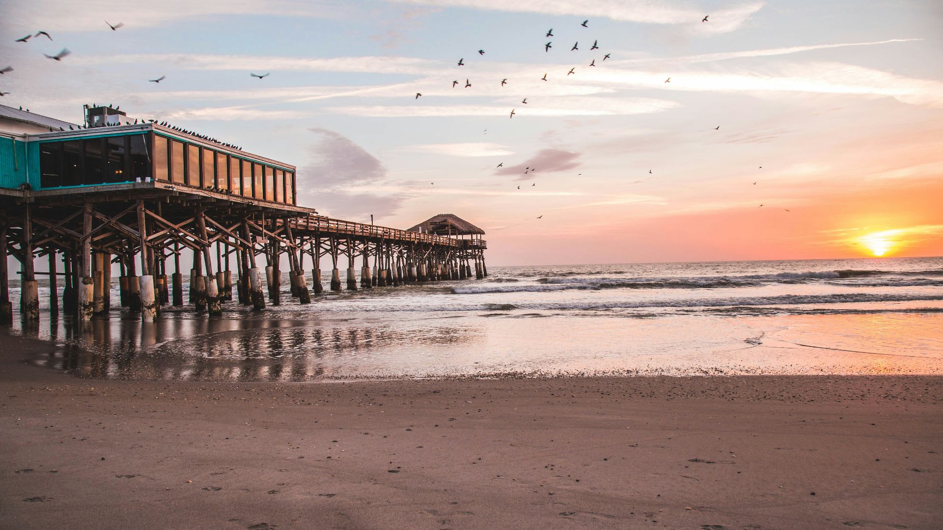 birds flying over brown wooden sea dock during sunset