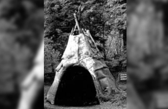 Abenaki Tribe wigwam