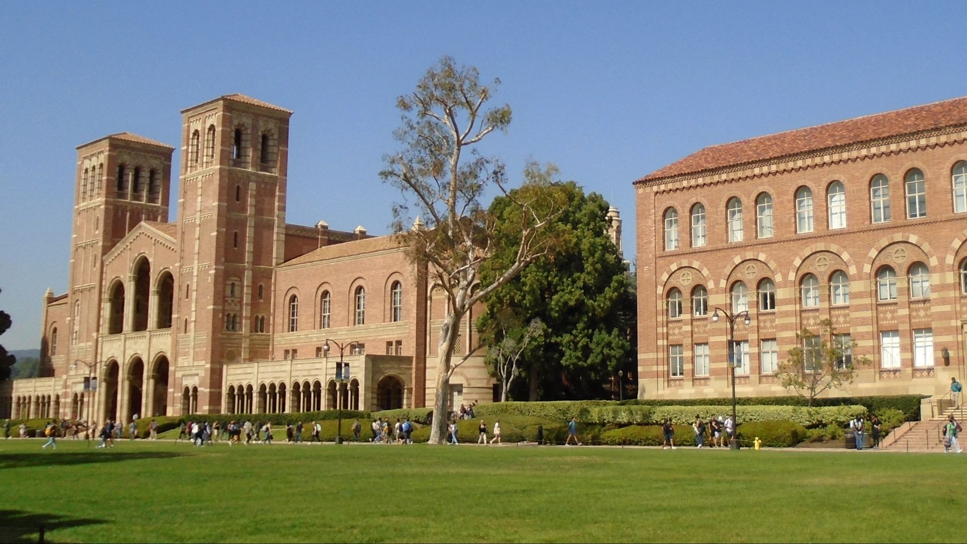 File:2019 UCLA Royce Hall and Haines Hall.jpg