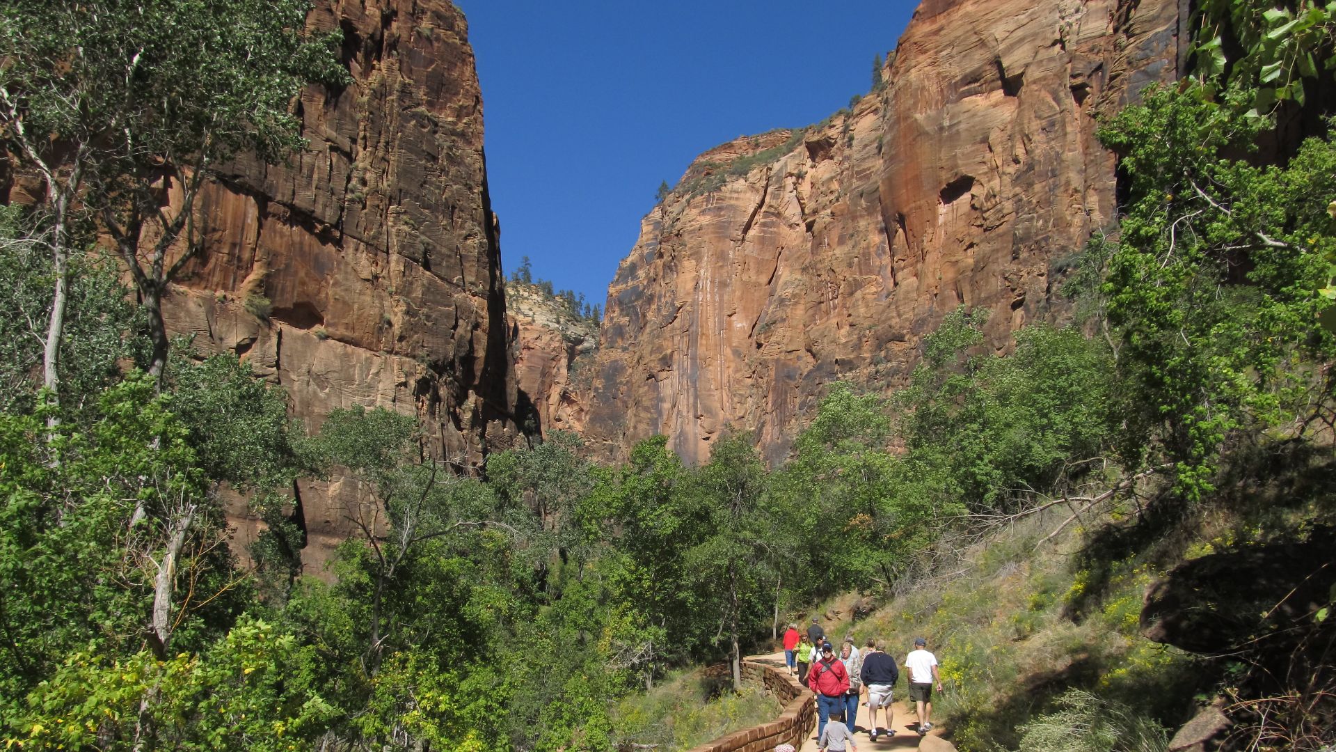 File:Riverside Walk to Zion Narrows, Zion Canyon, Zion National Park, Utah (8096066362).jpg