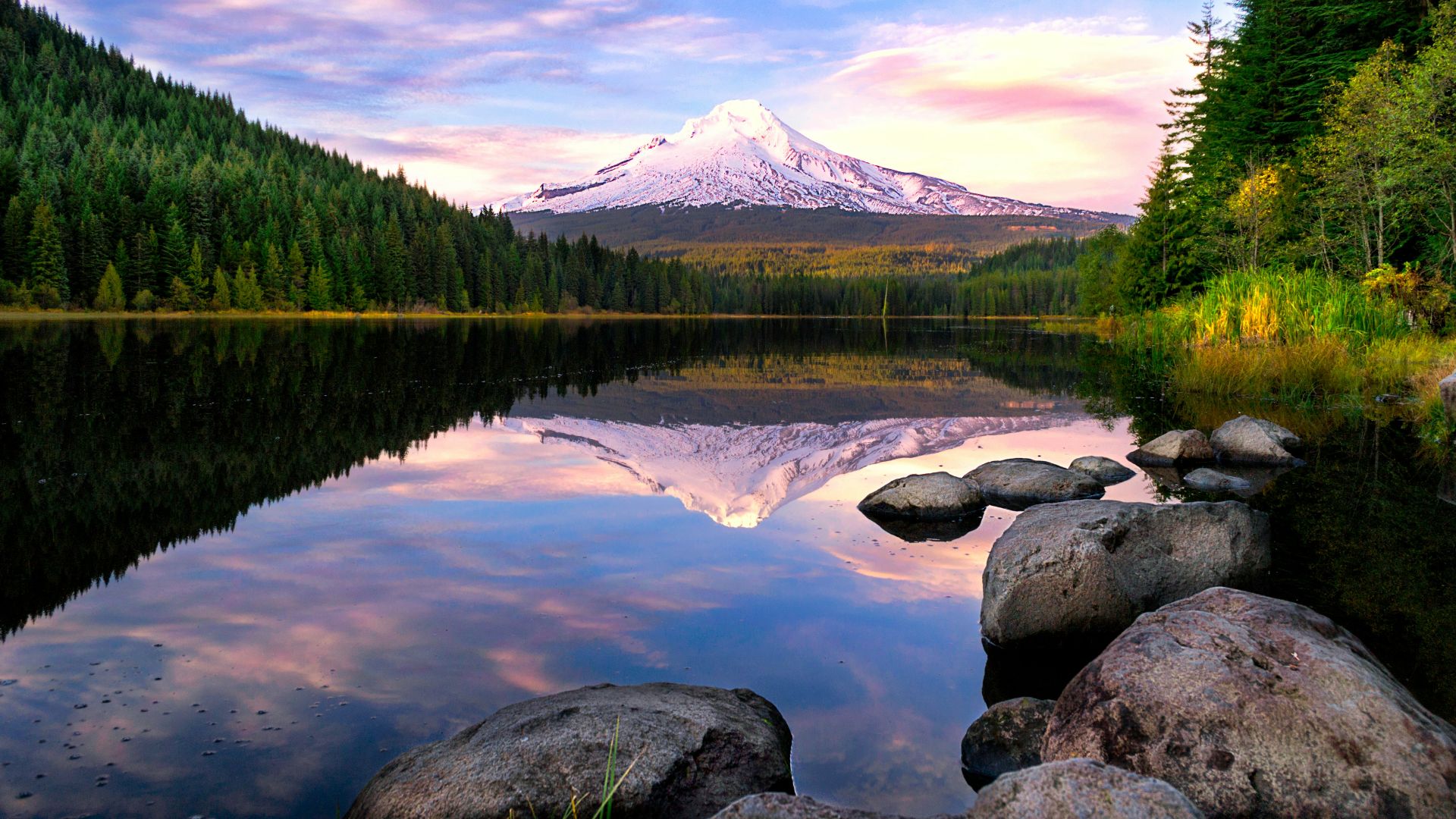 lake surrounded by pine trees near snow-covered mountain