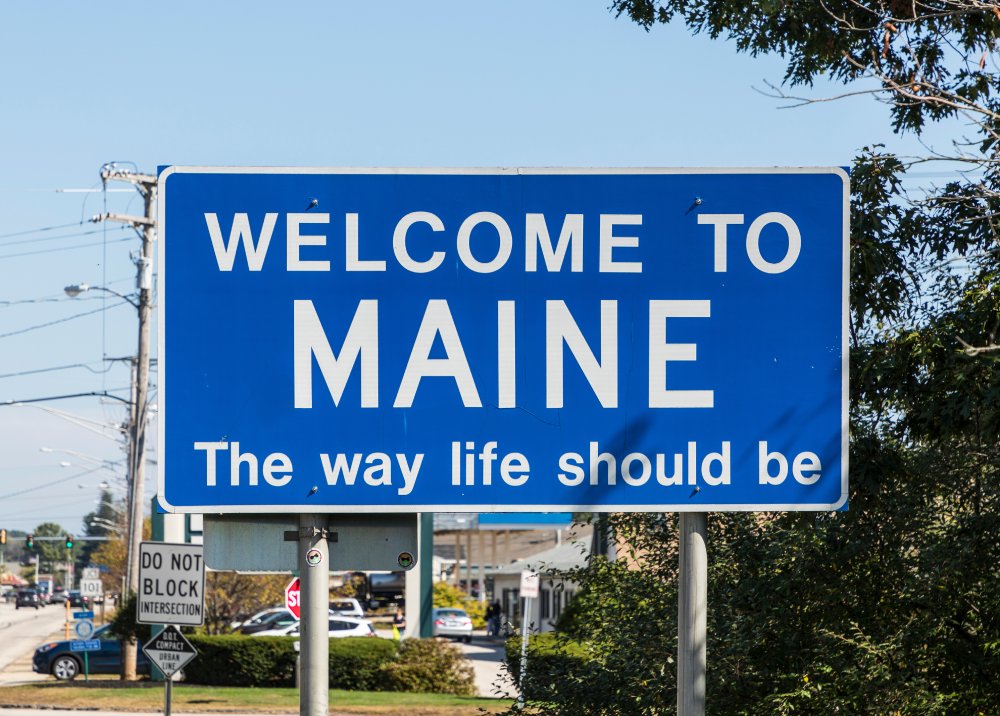 This image shows a distinctive 