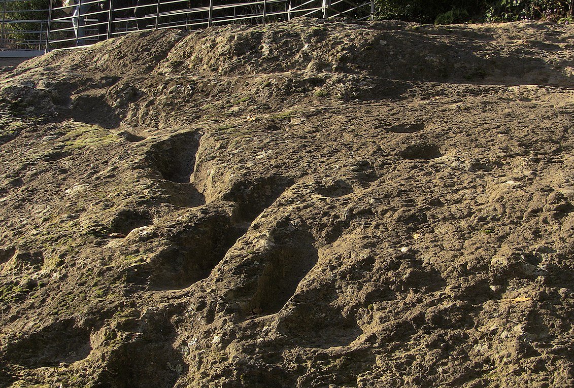 350.000 years old footprints at Tora e Piccilli (CE) Italy