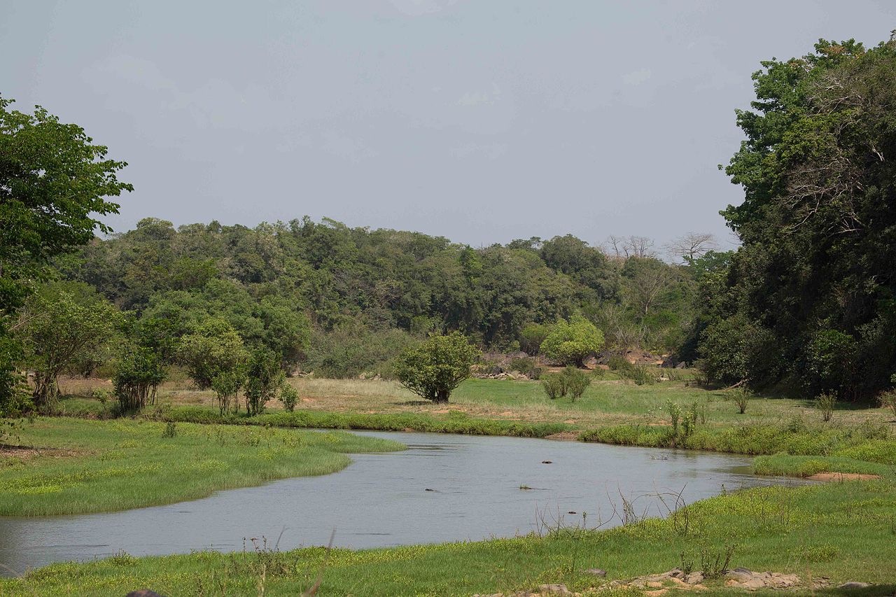 Comoe river with adjoining wetlands