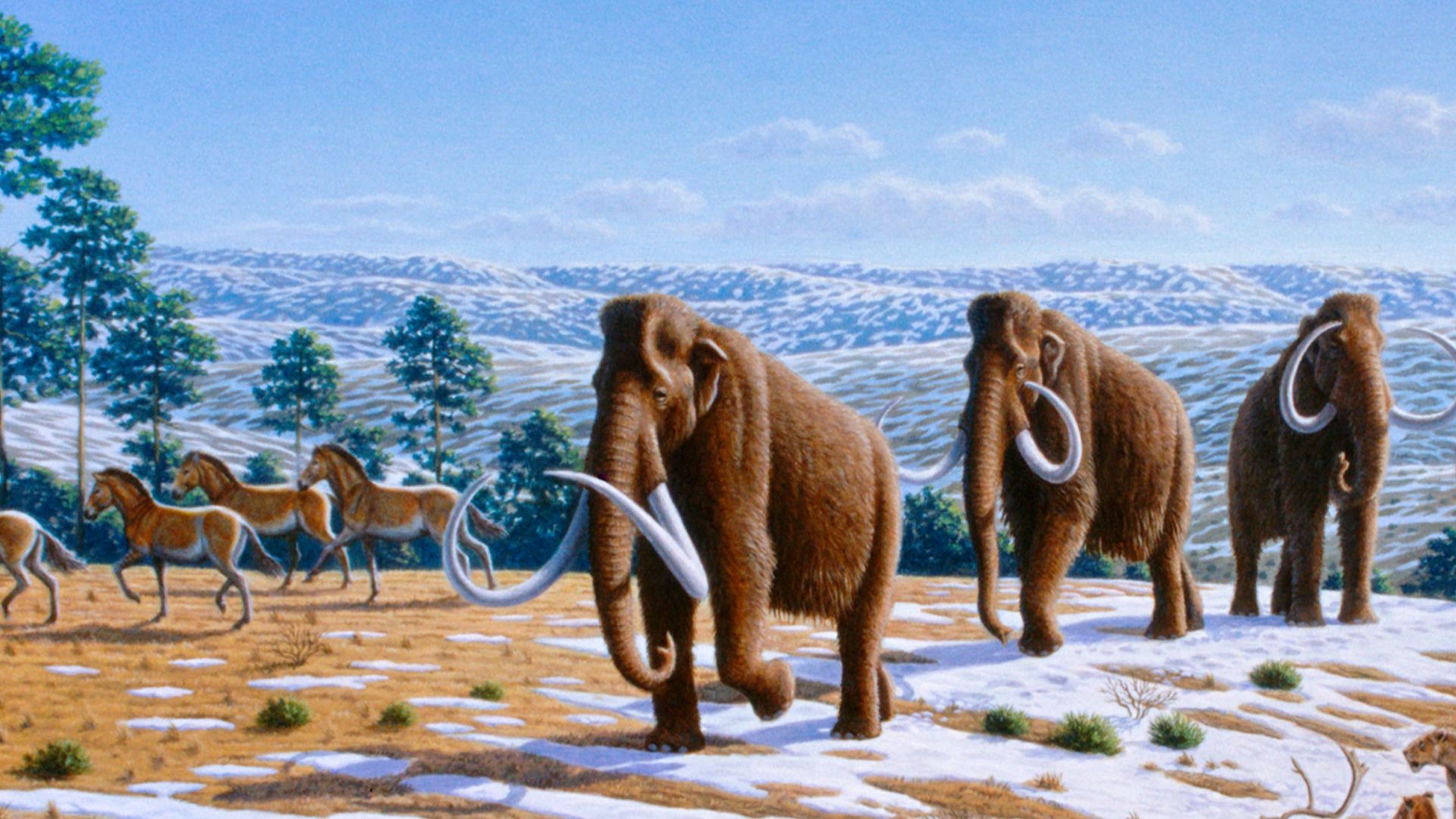 File:Ice age fauna of northern Spain - Mauricio Antón.jpg