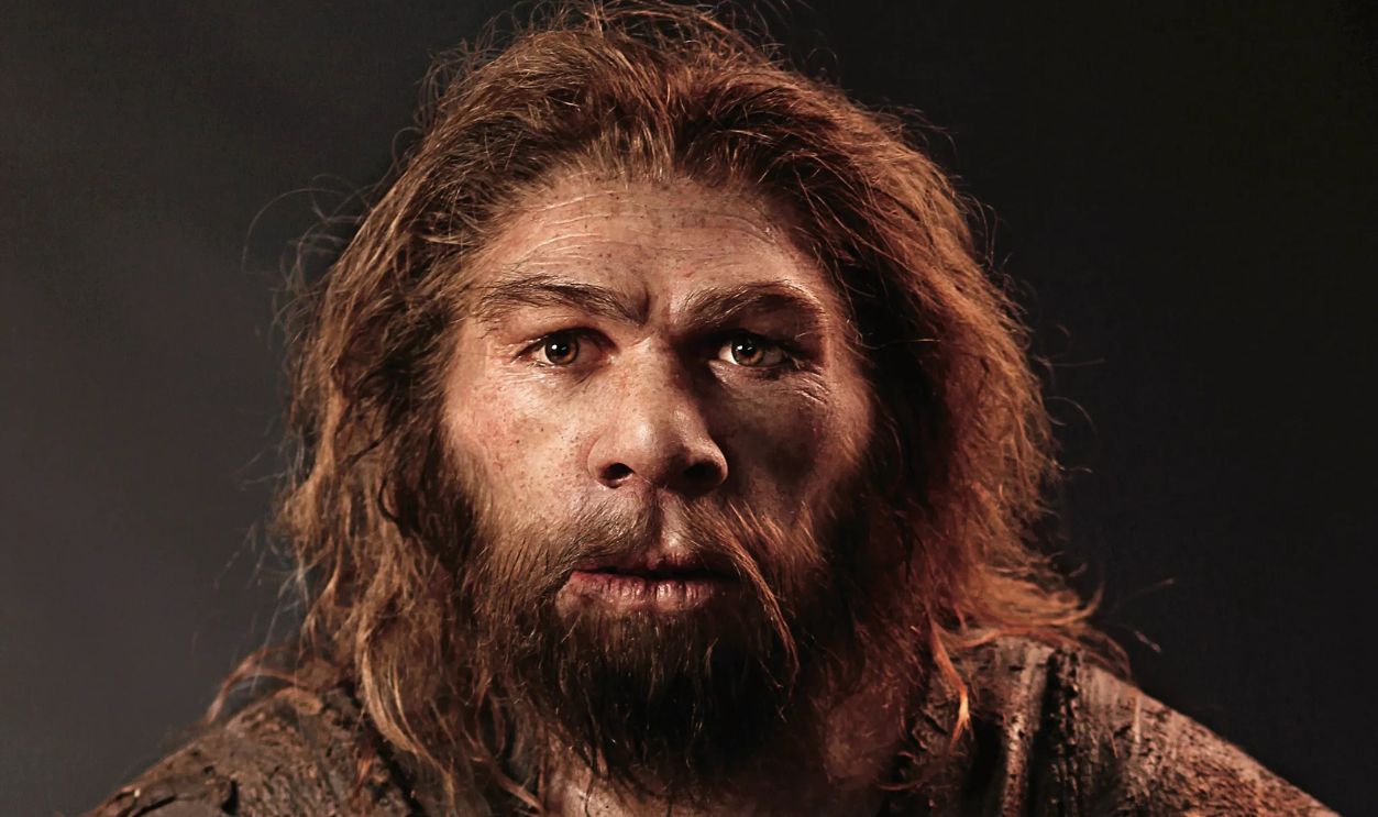 Neanderthals