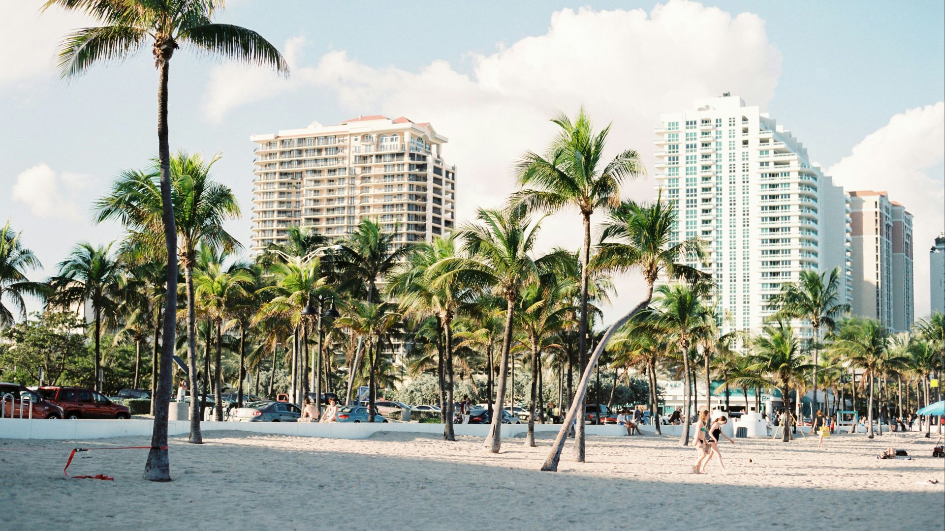 palm trees near buildings