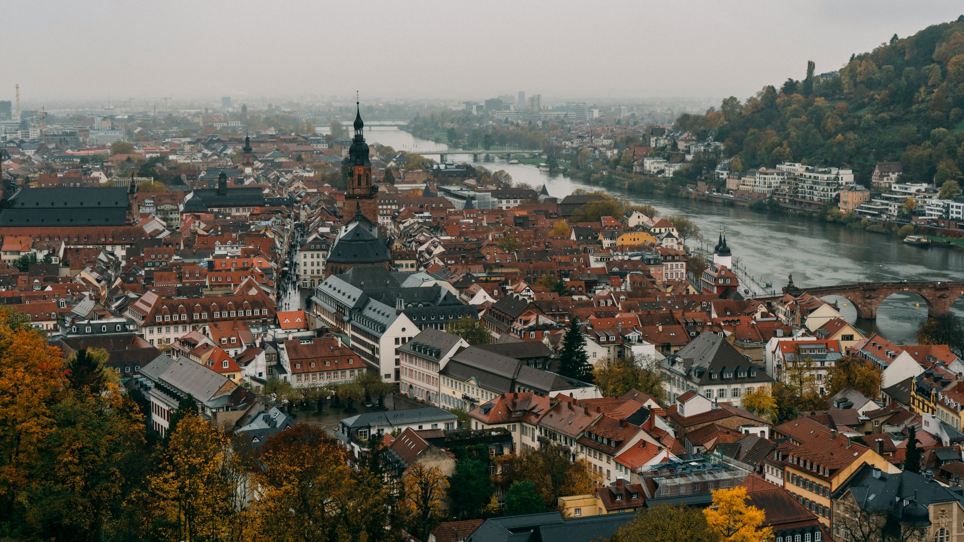 brown and white building
