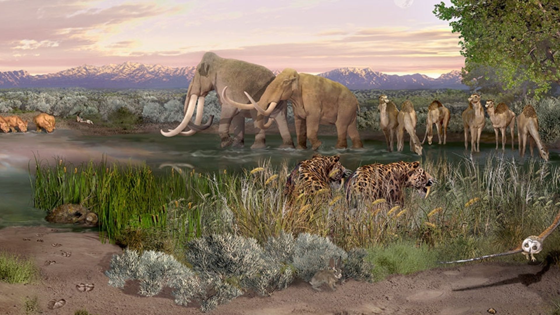 File:Paleontological landscape painting, White Sands National Park, United States.jpg