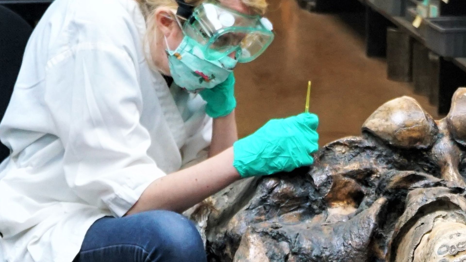 File:La Brea SW03.jpg