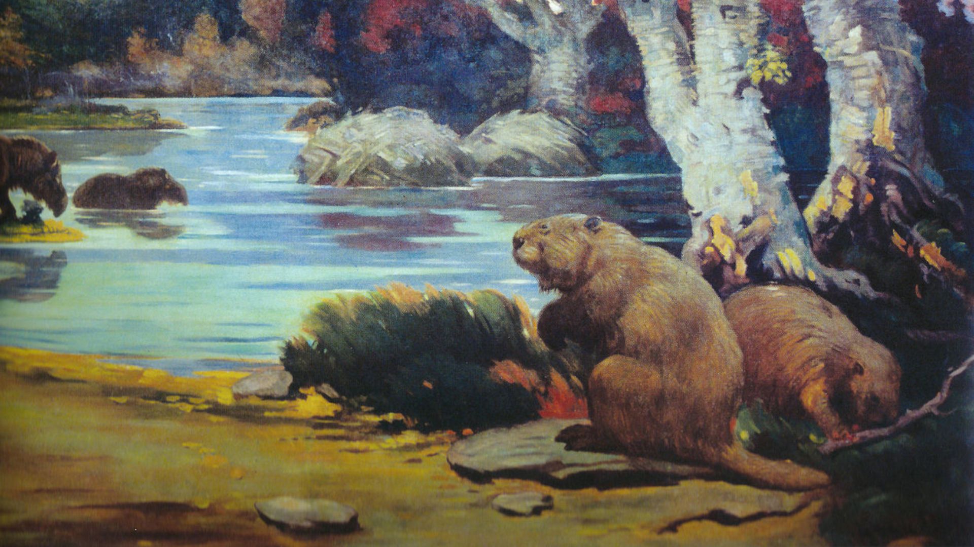 File:Castoroides Knight.jpg