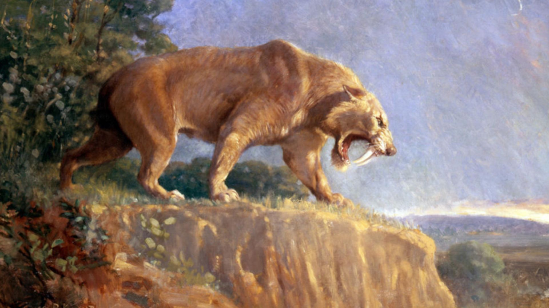 File:Smilodon Knight.jpg