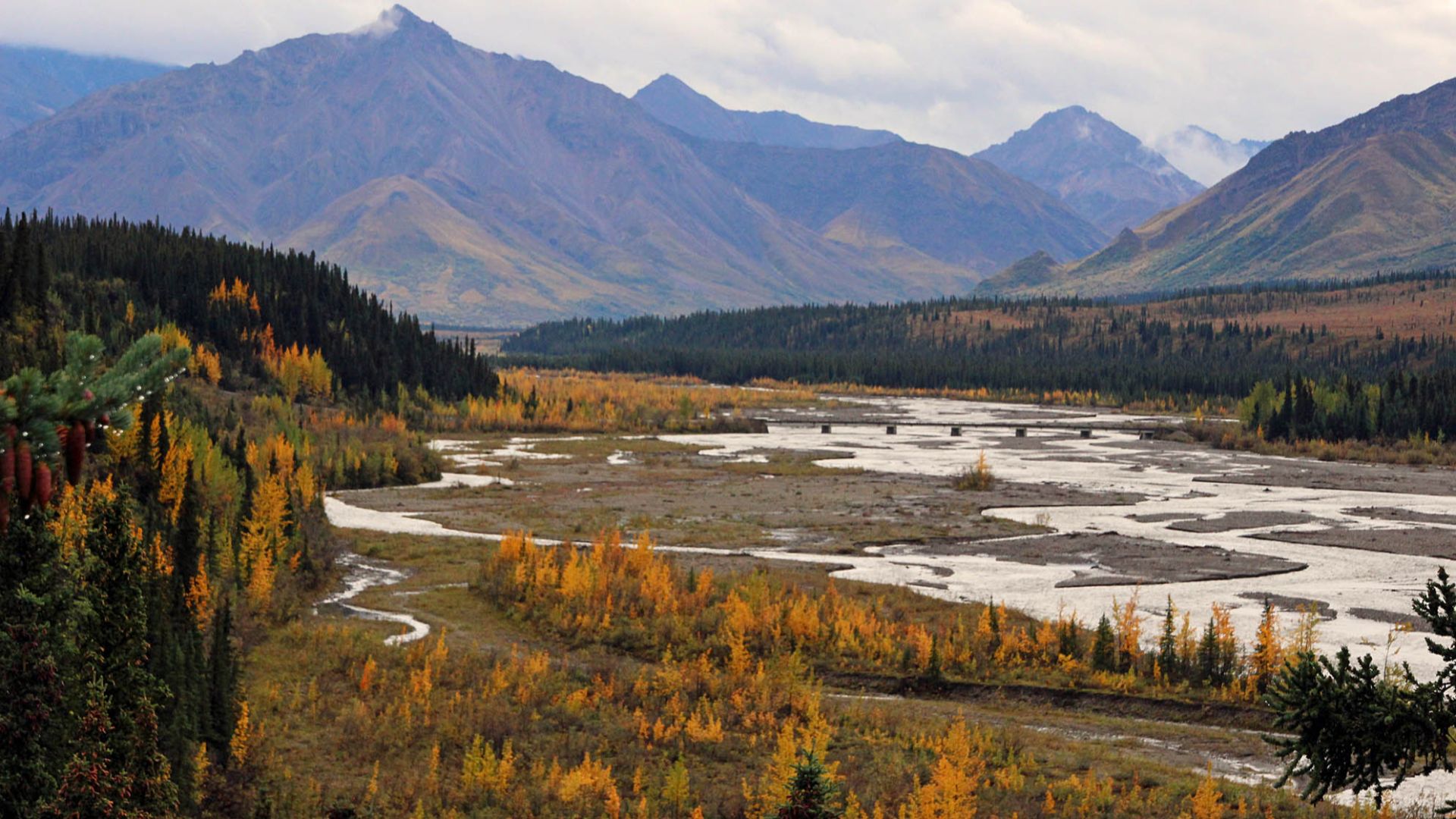 File:Denali vista (28957517334).jpg