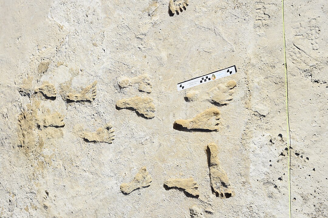 White Sands fossil footprints