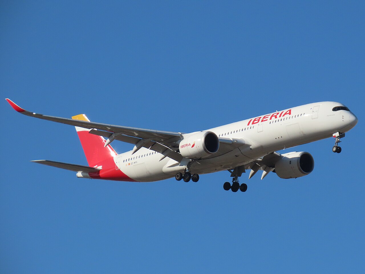 Iberia (airline) plane In The Sky
