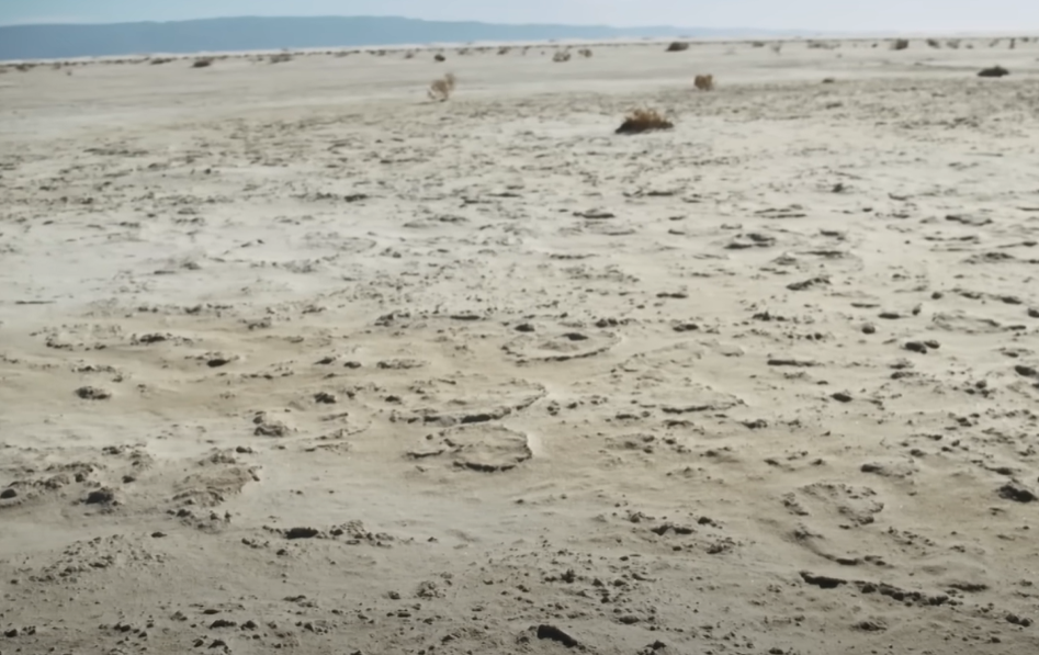 Screenshot of Ice Age Footprints (2022)