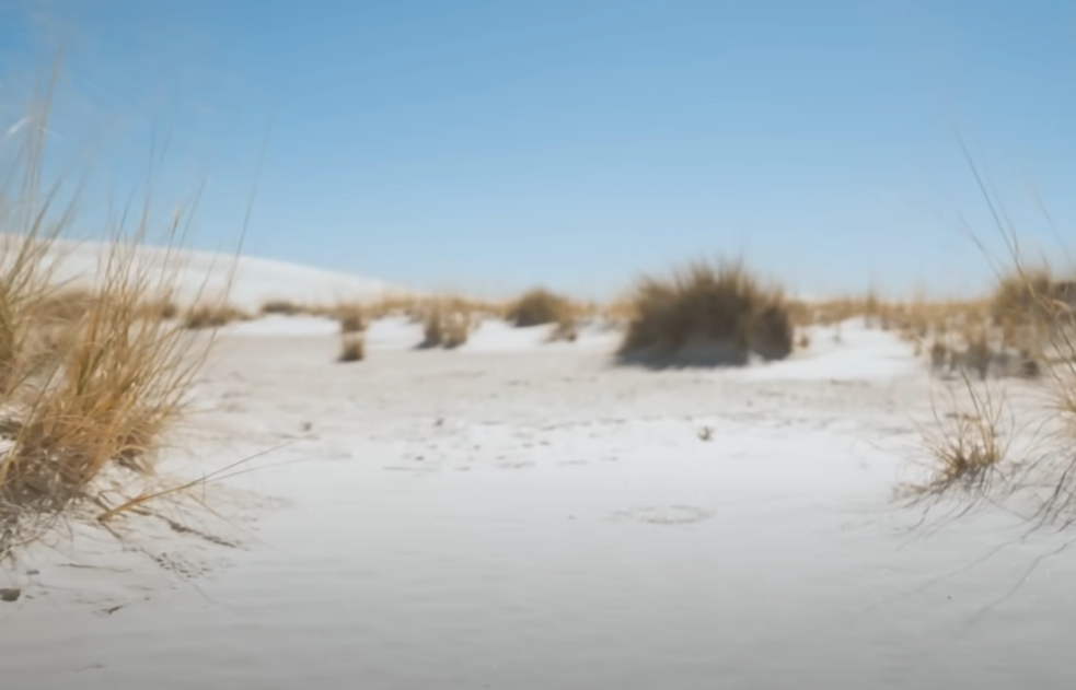 Screenshot of Ice Age Footprints (2022)