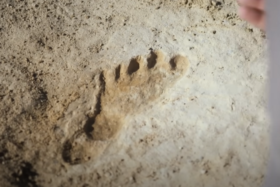 Screenshot of Ice Age Footprints (2022)