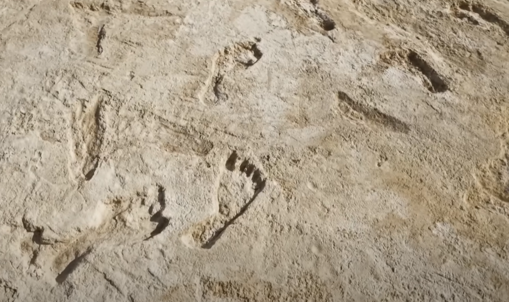 Screenshot of Ice Age Footprints (2022)