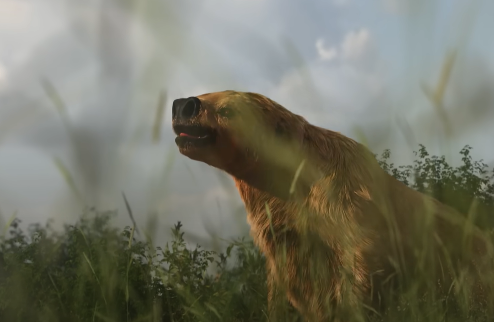 Screenshot of Ice Age Footprints (2022)