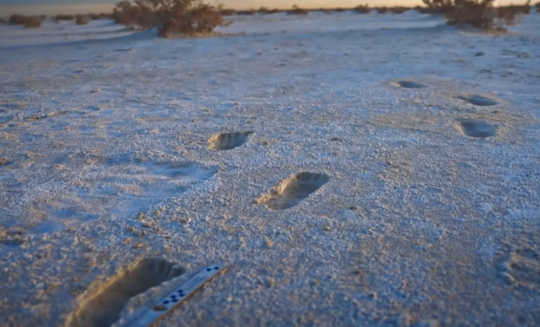 Screenshot of Ice Age Footprints (2022)