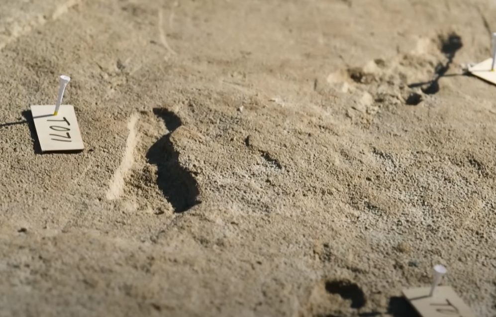 Screenshot of Ice Age Footprints (2022)