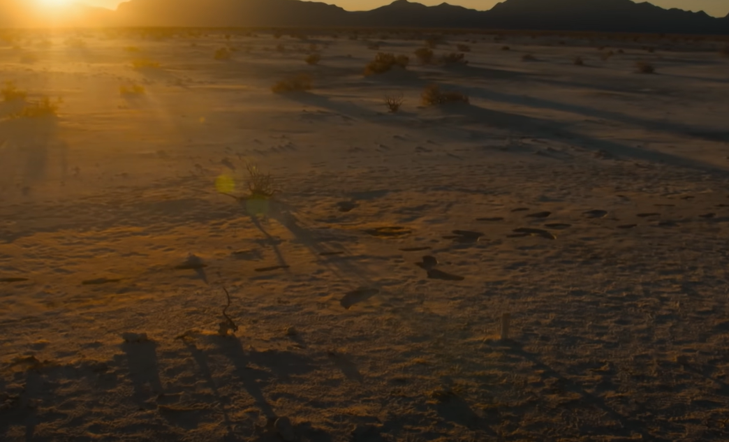 Screenshot of Ice Age Footprints (2022)