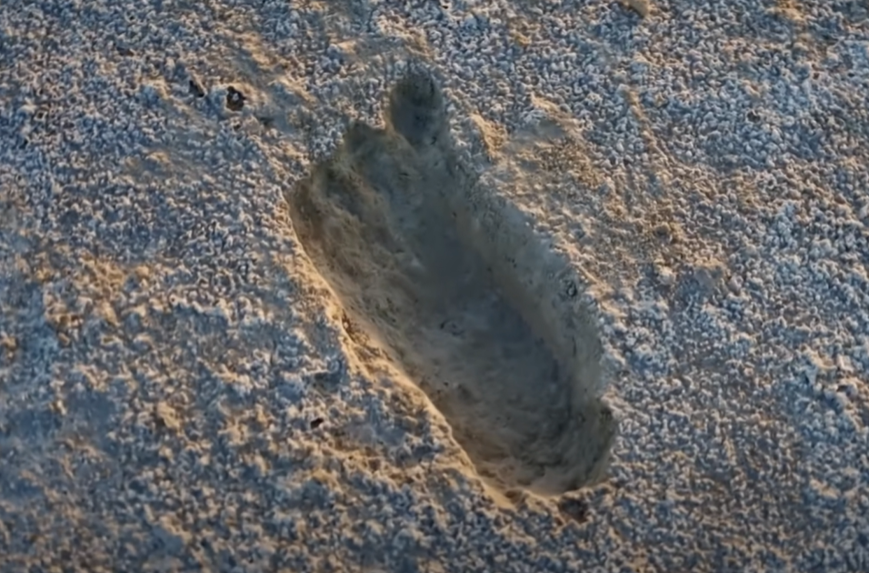 Screenshot of Ice Age Footprints (2022)