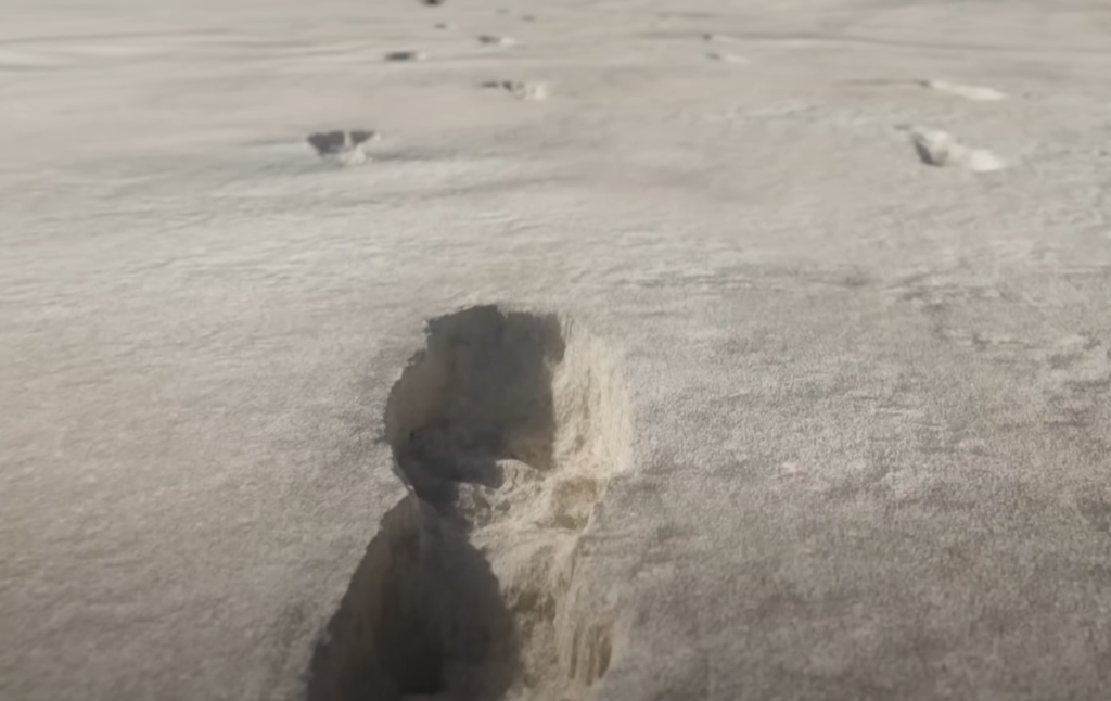 Screenshot of Ice Age Footprints (2022)