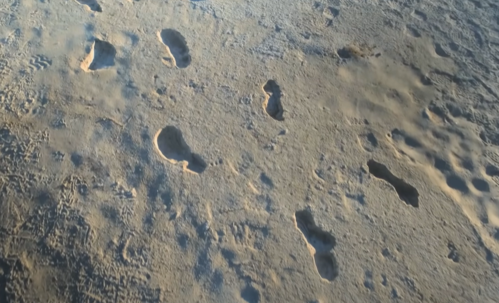 Screenshot of Ice Age Footprints (2022)