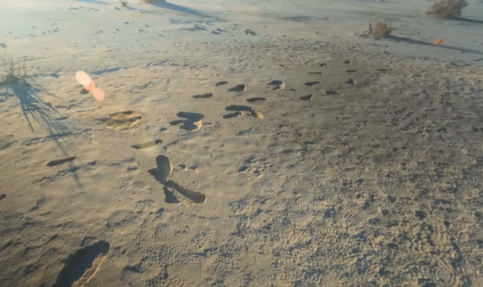 Screenshot of Ice Age Footprints (2022)